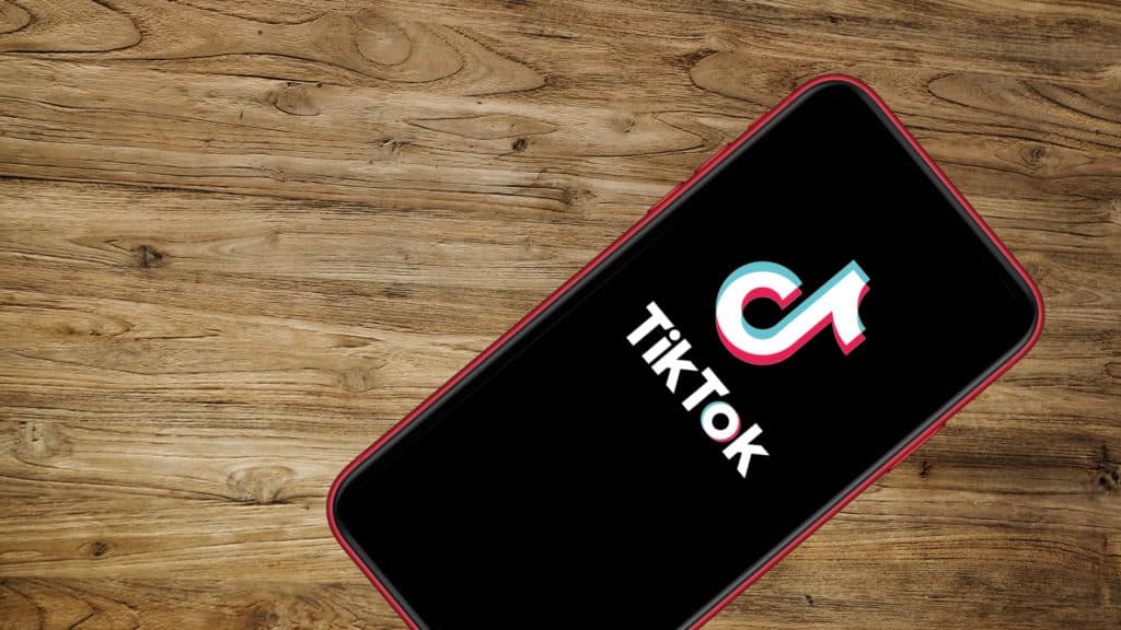 TikToK im Personalmarketing die SAATKORN Serie komplett